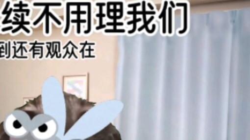 【Cat Meme】Perjalanan Heihei sebelum dan sesudah kelahirannya