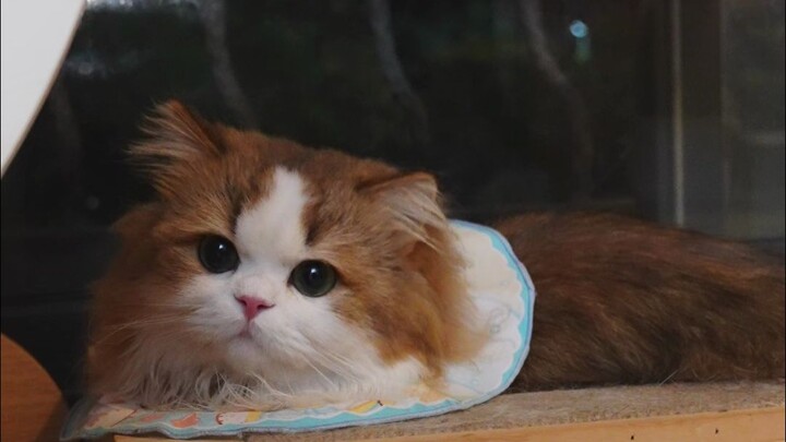I heard you’ve been missing me—is that true?!