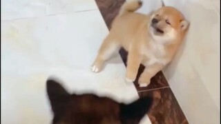 I was scolded by my mother for not sleeping, and I still feel a little dissatisfied