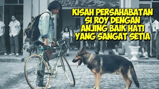 Seorang Anak Aktivis Yang Hidup Penuh Perjuangan! | Alur Cerita Film BALADA SI ROY (2023)