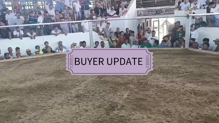 buyer update vedeo, matsala boss