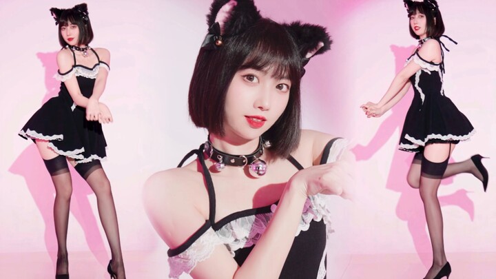 [Vertical screen] What bad intentions can a kitten have~like a cat🖤The cat walks lightly