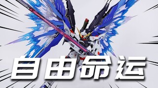 这命运高达跟自由有一腿！树人模型 自由配色 MB命运高达Destiny KO版 MC库存货 模型分享【神田玩具组】