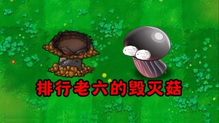 เห็ดต้องห้ามทำลายล้างอันดับที่ 6!