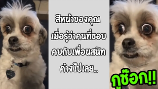 ถ้าคุณไม่เจอกับตัวเองจะไม่เข้าใจ สีหน้าจะไม่เป็นแบบนี้!! รวมคลิปฮาพากย์ไทย