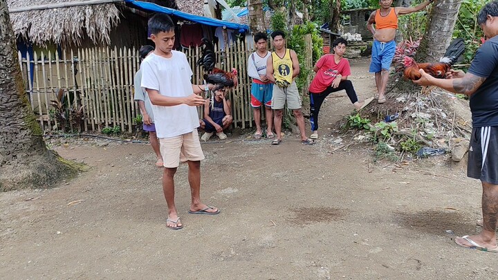 Barbon (Lose) Boss June (Win)