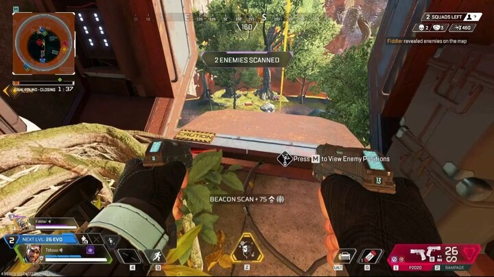 APEX LEGENDS