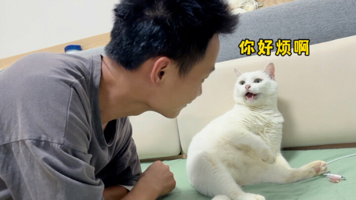 Every beating Dad receives is what he deserves.