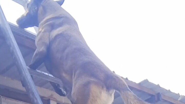 Con đường cứu rỗi nằm ngay trong đó.