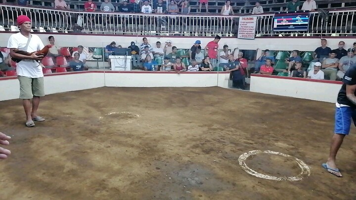 My winning line, Maliit, mababa, Bata, sa kanya ang pintas, kasama ang bwenas haha kanan kalaban