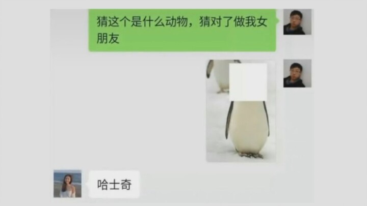 Tưởng như đã thắng, nhưng thực ra lại thua thảm hại.