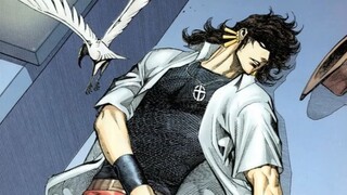 Phoenix 67: Phoenix sedang terbang