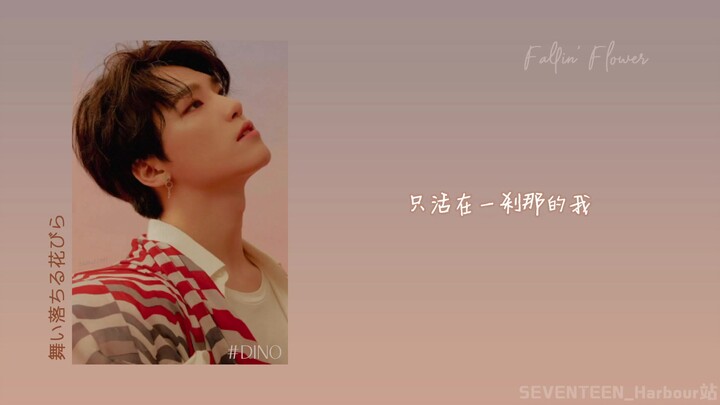 [SVT_Pelabuhan] 200309 SEVENTEEN Bunga Yang Berguguran (Fallin Flower) Sub Indo Versi Tiap Anggota