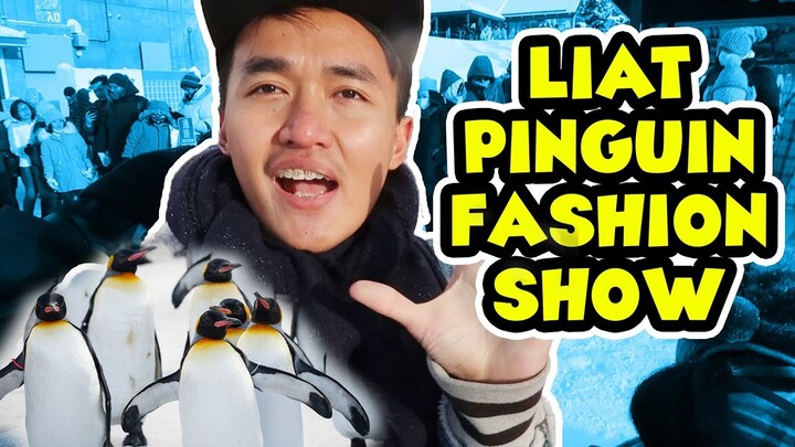 Lihat Penguin Fashion Show di Asahiyama Zoo