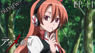 Akame Ga Kill! Abridged! - Episode 11 PREVIEW!!!