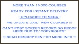 Jordan Belfort - Straight Line Sales Cert 4.0 Torrent Free