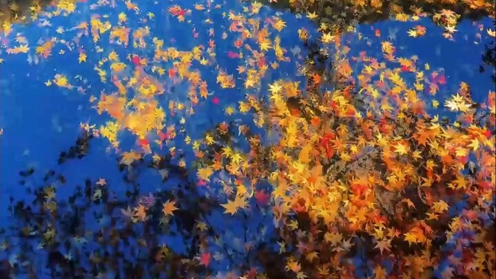 Tướng quân giương cung không thể giữ chặt, đô hộ áo giáp sắt lạnh lẽo khó mặc vào.