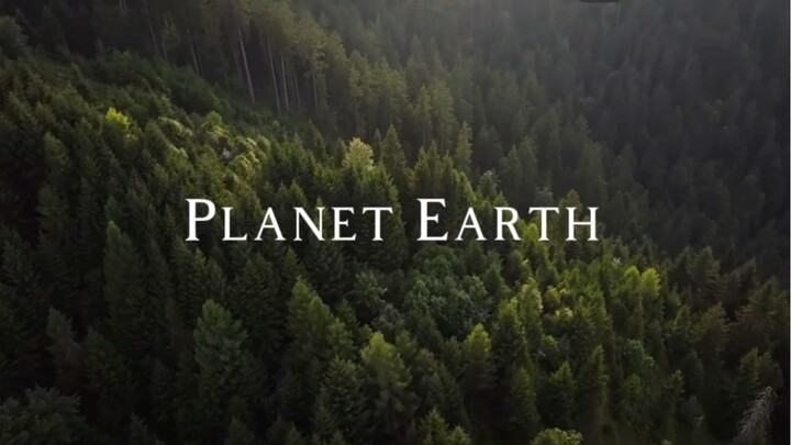 On March 29 at 8:30 PM local time, join millions. Turn off your lights 💡