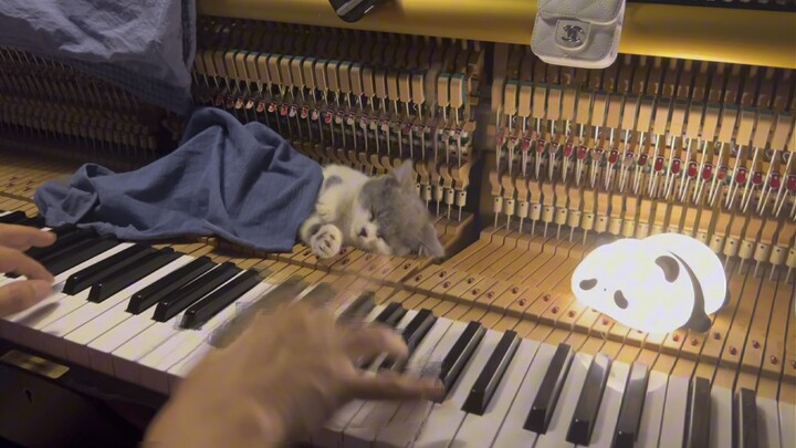 แมวเหมียวชอบเวอร์ชันนี้ของมี่เสวี่ยปิงเฉิงที่สุด ลองดูแมวที่บ้านคุณหน่อยสิ?