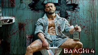 Baaghi 4 (2025) Hindi