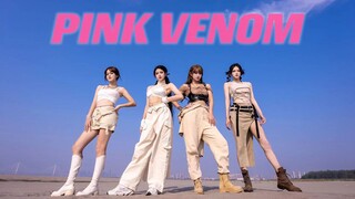 【波利花菜园】老年人早起的《Pink Venom》