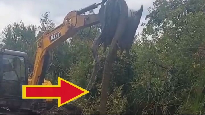 ขุดเจองูยักษ์