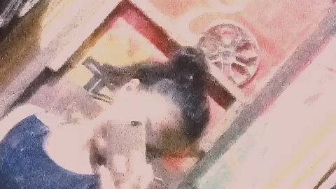 Follow naman po mga ferson.