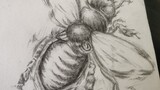 [Non-Standard User Caution] Drawing a Fly