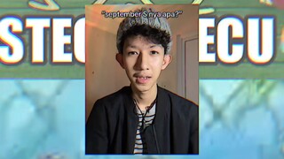 Stecu stecu