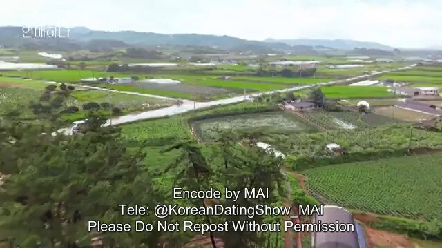 Blossom with love eps 1 sub Indonesia