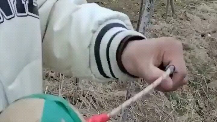 Fried fish? I’d call that a crime!