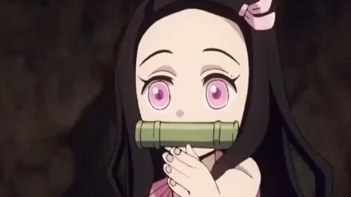 Standar ganda juga bikin si babi-babi paham sendiri.