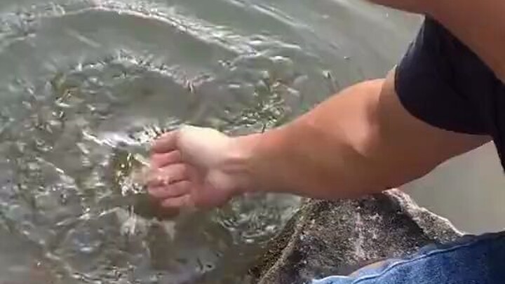 Fish: He’s an old actor