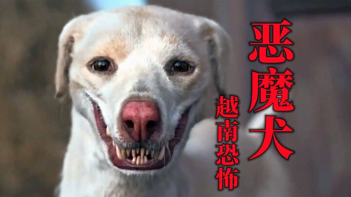 Giết chó quá nhiều, cả nhà tiệm thịt chó bị tổ tiên loài chó trừng phạt tận diệt – Phim kinh dị Việt