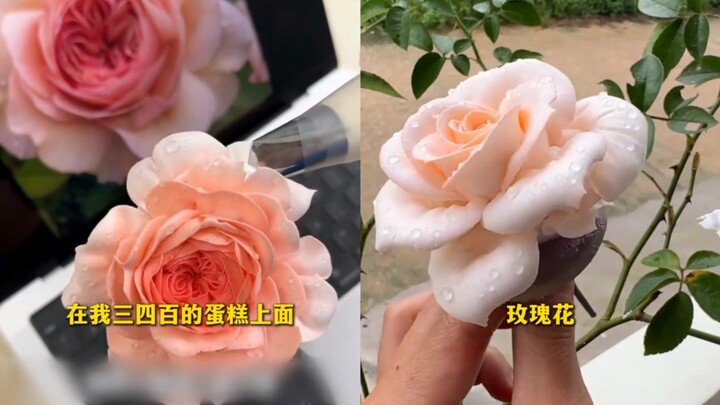 So these are actually fake flowers? And there are even water droplets on them—no wonder you’re makin