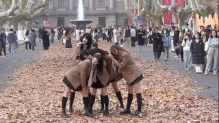 ditto và lá bạch quả rơi, mùa lá rụng cuối cùng tại Tứ Phường Lâu