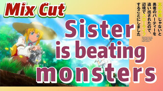 [Banished from the Hero's Party]Clips |  Sister is beating monsters
