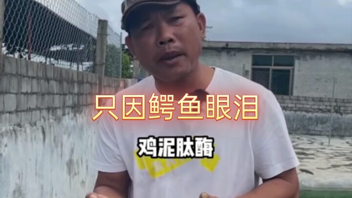 แค่เพราะน้ำตาจระเข้