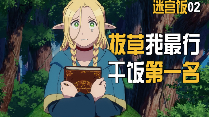 【迷宫饭02/自用】玛露希尔颜艺合辑