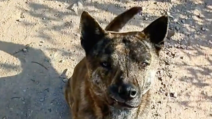 Lost and found— I finally found you!