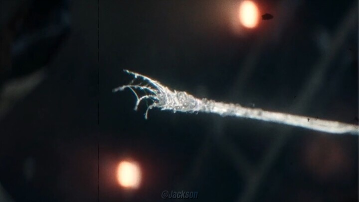 Only Garfield knows that spider silk cannot save people