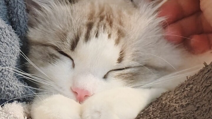 Gue juga nggak nyangka membersihin telinga dia ternyata seseneng ini!