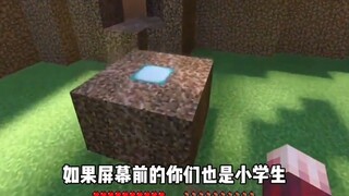 Minecraft: What do you mean, elementary school students?