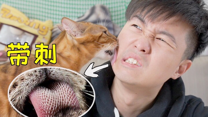 Will being licked by a cat's barbed tongue disfigure you? A guy tried it on his face.