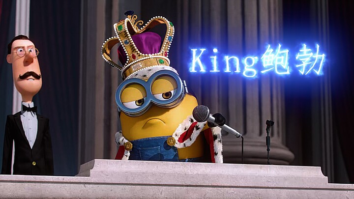 Bob, with his heterochromatic eyes and adorable cuteness—every single time you watch him, you fall i