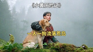 一人一狗流落荒岛，历经18天的野外求生《小黄历险记》