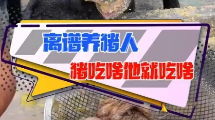 He eats whatever the pig eats | Funny | Hilarious Pranks | Cooking Skills