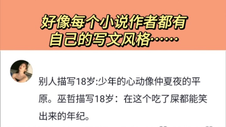 It seems like every novelist has their own writing style…