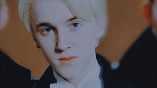 Slytherin luôn giỏi nhớ những người mình từng yêu (Draco Malfoy)