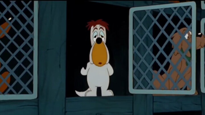 Jerry: Tôi vừa lái cái quái gì vậy?